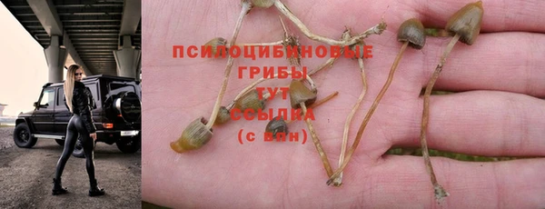 амфетамин Бутурлиновка