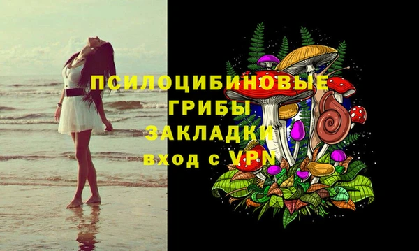 СК Алексин